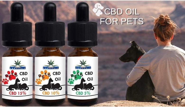 oil cbd for pets